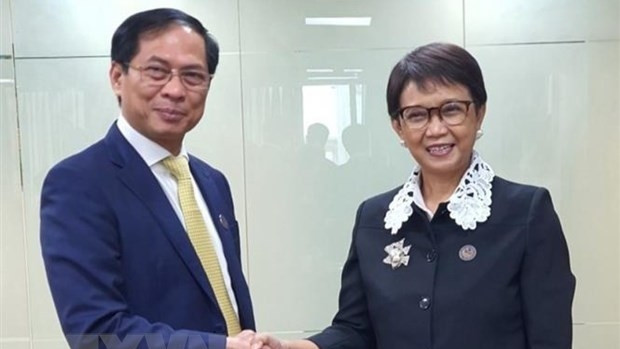 Foreign Minister Bui Thanh Son (L) meets Indonesian FM Retno Marsudi. (Photo: VNA)
