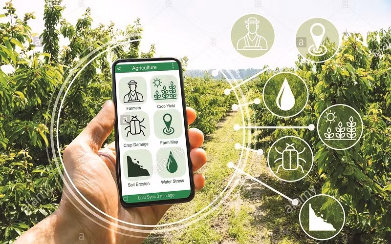 Promoting the digital transformation in the agricultural sector contributes to improving the productivity and efficiency of the industry and ensuring sustainable development. (Illustrative image))