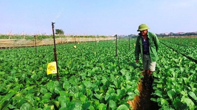 The Food Safety Project will be implemented in five localities from 2022 to 2027.