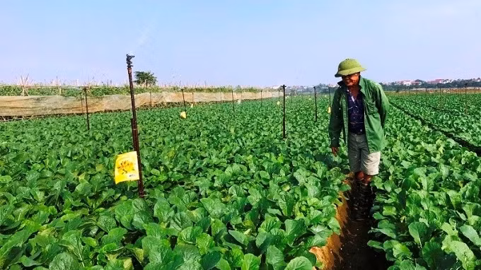 The Food Safety Project will be implemented in five localities from 2022 to 2027.