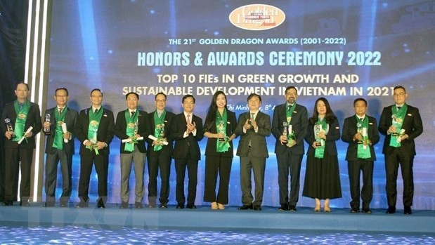 At the award ceremony (Photo: VNA)