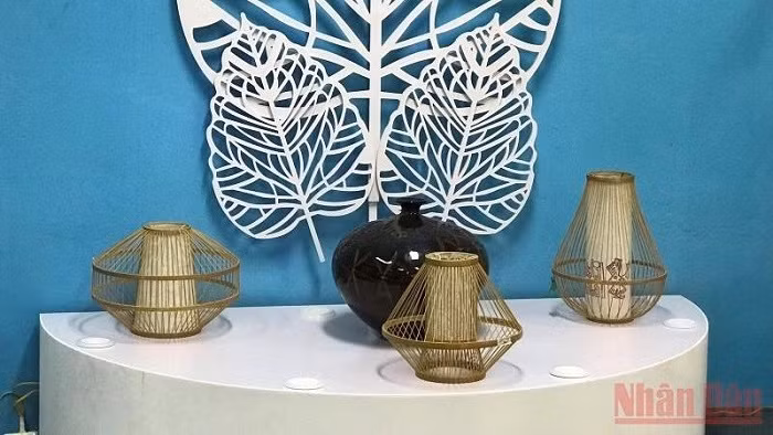 Products on display at the exhibition (Photo: NDO/Nguyen Trang)