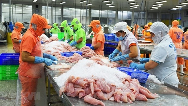 Processing Tra fish for export (Photo: VNA)