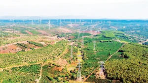 The 220kV and 500kV transmission lines receiving renewable energy sources in localities are managed and operated by Gia Lai Power Transmission under Power Transmission Company No. 3.