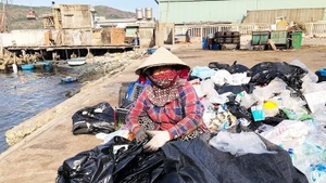 Plastic waste collection at a port in Quy Nhon (former). (Illustrative photo)