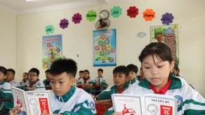 Illustrative image (Photo: VNA)