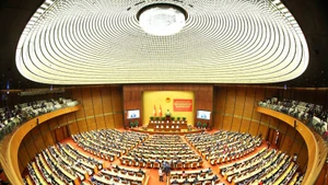 An overview of the conference (Photo: VNA)