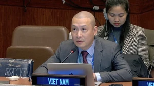 Minister Counsellor Nguyen Hoang Nguyen, Deputy Permanent Representative of Viet Nam to the UN. (Photo: VNA)