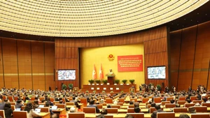 An overview of the conference (Photo: VNA)