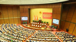 An overview of the national conference held on February 25 to disseminate and implement Resolution No. 79 and Resolution No. 80 (Photo: VNA)