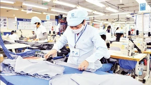 Photo for illustration. (Source: nhandan.vn)