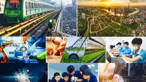 Illustrative image (Photo: baochinhphu.vn)