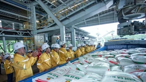 Workers load fertiliser onto a vessel for export by Petrovietnam Ca Mau Fertiliser Corporation (PVCFC). (Photo: Petrovietnam)