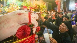 [In Pictures] Procession of giant “Lord Pigs” weighing over 200kg at La Phu Village Festival