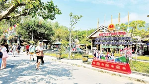 The festive atmosphere of the national election day is vibrant on Tan Hiep Island Commune, Da Nang City.