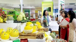Using digital platforms for sales has helped many individuals, cooperatives, and businesses promote and sell more products. (Photo: BICH LIEN)