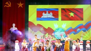 An art performance by artists from Vinh Long (Photo: VNA)