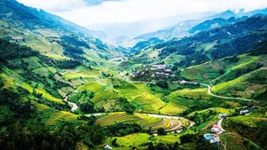 Mu Cang Chai terraced fields, Lao Cai. (Photo: THANH DAT)