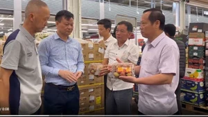 Inspecting the quality of lychees upon arrival in France. (Photo: nhandan.vn)