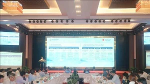 A representative from the project's management board briefs participants on its outcomes (Photo: VNA)