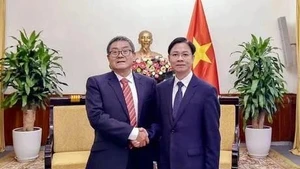 Viet Nam, China intensify experience sharing in diplomatic affairs