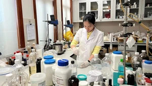 Research activities at Sao Thai Duong Company. (Photo: DUC TUNG)