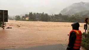 Roads are underwater in Quang Tri province (Photo: VNA)