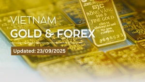 Domestic and global gold prices simultaneously hit new record highs