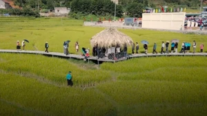 Golden Season Festival in the Soong Co region, Tien Yen. (Photo: nhandan.vn)