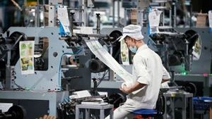 Gradual removal of bottlenecks creates momentum for effective private sector development. (Photo: nhandan.vn)