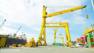 Da Nang Port is a key gateway for trade in the central region.