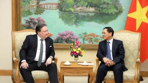 Deputy Prime Minister Bui Thanh Son (R) receives US Ambassador to Viet Nam Marc E. Knapper in Ha Noi on October 23. (Photo: VNA)