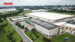 Video: 70% reduction in fees for converting agricultural land to residential use from 2026