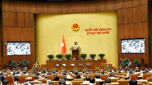 At the meeting (Photo: VNA)