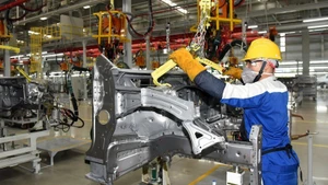 Photo for illustration. (Source: nhandan.vn)