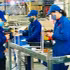 The shifting global supply chains are opening up opportunities for Viet Nam to enhance its position on the international production and trade map. (Photo: KIM DUNG)