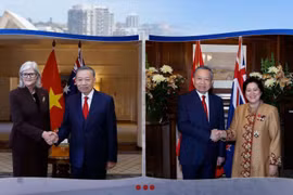 A new phase of development for relations between Viet Nam and South Pacific partners