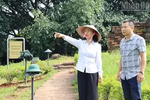 Vu Thi Tuyet Nga, Director of the Dien Bien Phu Museum, inspects the renovation and landscaping of greenery and flower gardens at sites within the Dien Bien Phu Battlefield relic complex. (Photo: Le Lan)