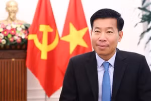 Vietnamese Deputy Minister of Foreign Affairs Nguyen Manh Cuong (Photo: Ministry of Foreign Affairs)