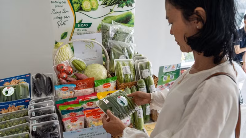 COFIDEC’s Japanese varieties of okra and aubergines have been awarded the ‘Responsible Green Tick’ for distribution through the SATRA system. (Photo: SATRA)