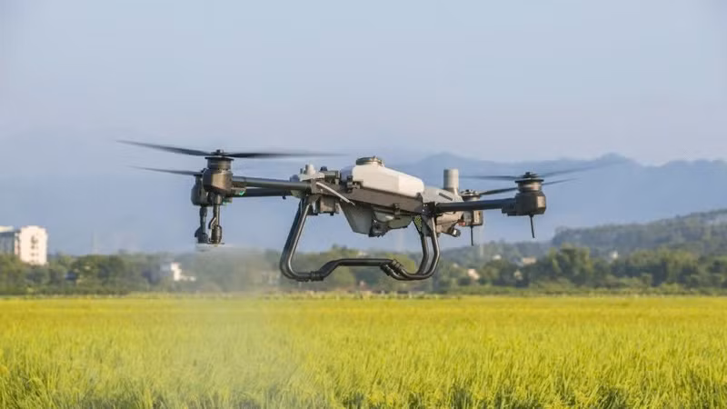 Drone technology is used to spray crop protection products on rice fields by AgriDrone Vie Nam JSC. (Photo: AgriDrone Viet Nam)