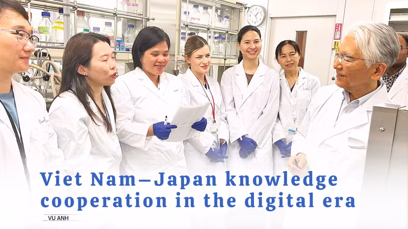 Vietnamese researchers in discussion with a Japanese expert (right). Photo: Courtesy of the interviewee.