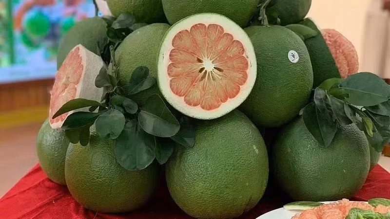 Vietnamese pomelos have been granted access to the RoK.