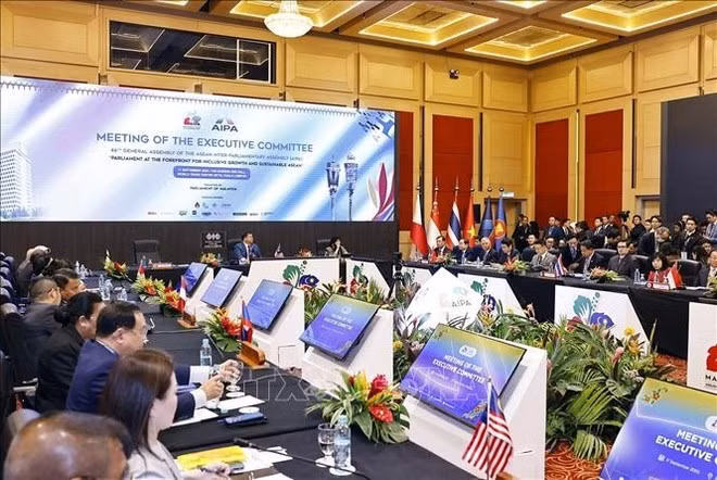 At the meeting (Photo: VNA)