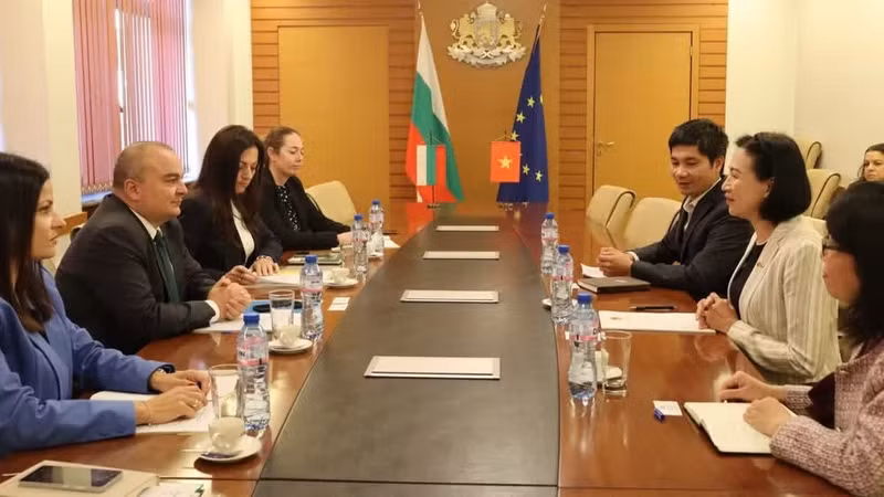 An overview of the meeting (Photo: The Embassy of Viet Nam in Bulgaria)