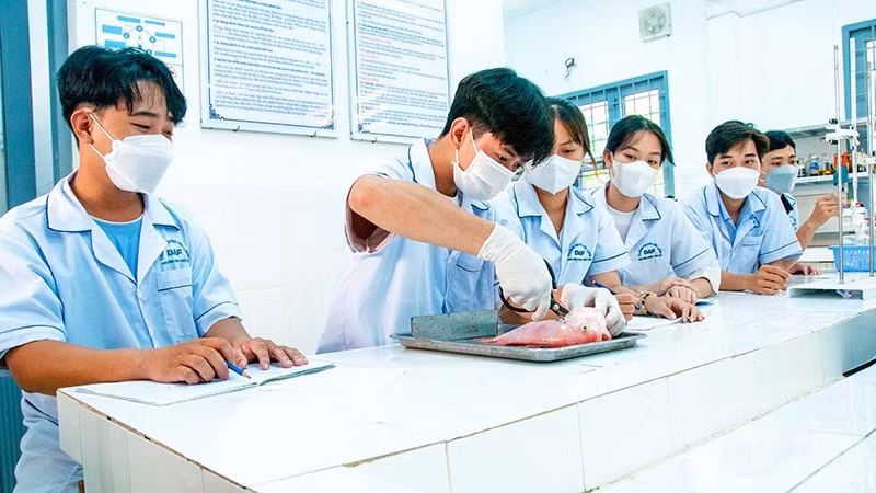 Students at Cuu Long University conduct a laboratory experiment. (Photo: VAN DO)