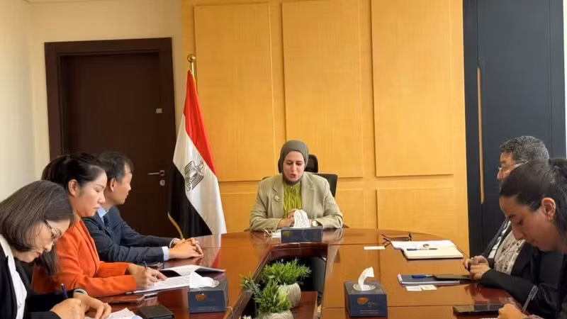 Vietnamese Ambassador to Egypt Nguyen Nam Duong has a meeting with Egyptian Deputy Foreign Minister for International Cooperation Samar Al-Ahdal in Cairo on June 4 (Photo: VNA)