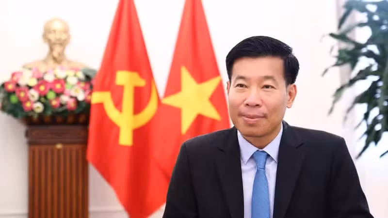 Deputy Foreign Minister Nguyen Manh Cuong.