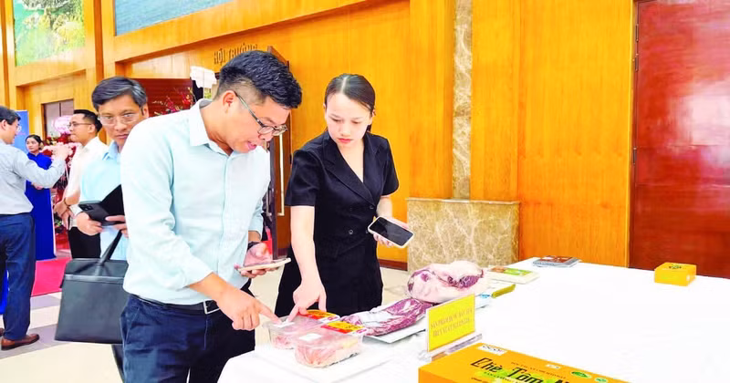 Visitors at the launch ceremony scan QR codes to access product information on the agricultural product traceability system. (Photo: Minh Anh)