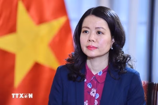 Deputy Minister of Foreign Affairs Nguyen Minh Hang (Photo: VNA)